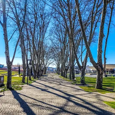 Alameda - Moderno A 20 Min Do Porto * 트로파
